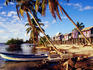 Holiday accomodation overlooking palms and mangroves.