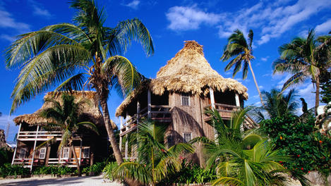 Image_13031-5