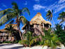 Resort buildings and palm trees, Ambergris Cave.