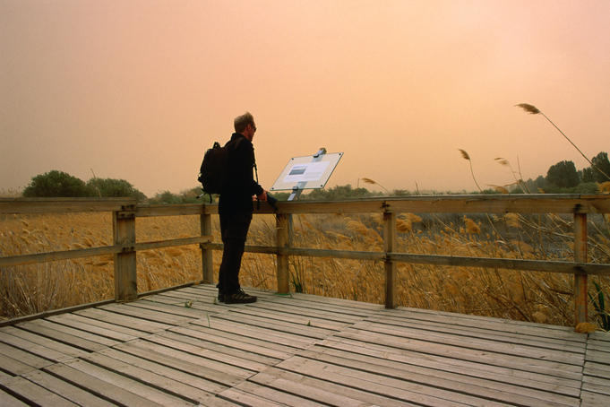Viewpoint at Azraq Wetlands Reserve, established 1977 as a haven for migratory birds.