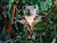 Image_1315-3
