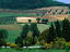 Image_1328-12