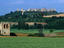 Image_1328-8