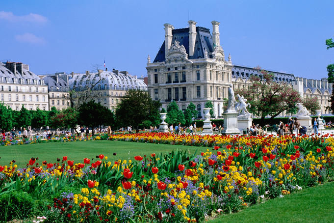 The flowers in the garden outside the Louvre - Paris, Ile-de-France