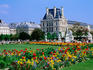 The flowers in the garden outside the Louvre - Paris, Ile-de-France