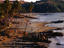 Image_13521-36