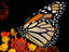 Image_13553-8