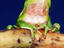 Image_13561-21