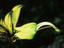 Image_13562-71