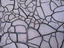 Detail of cracked mud.