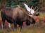 Image_13565-12