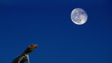 Image_13569-1