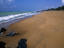 A stretch of beach.