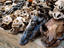 Bones, Akodessewa Fetish Market, Togo