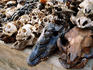 Bones in Akodessewa Fetish Market.