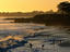 Beach, Santa Cruz