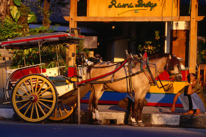 Horse and carriage for hire along Kuta beach.