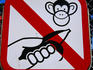 'Don't feed the monkeys sign' at Bukit Timah Nature Reserve.