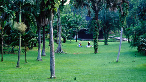 Image_13648-95