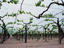 Image_1367-40