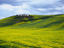 Image_1369-30