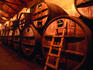 Huge oak barrels in the Santa Carolina barrel room.