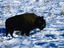 Image_13789-2