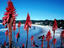 Image_13806-4