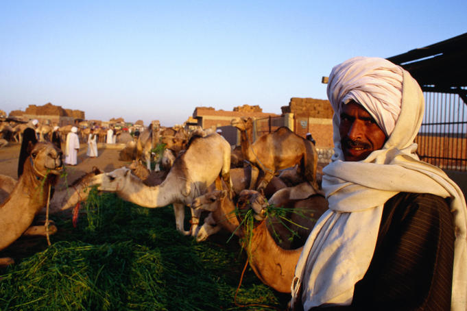 Camel traders at the Birqash market, Cairo.