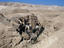 An amazing place with amazing surroundings, just outside Bethlehem is Mar Saba Monastery, a Greek Orthodox Monastery and one of the most impressive buildings in the 