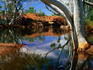 Billabong in outback Western Australia.
