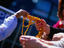 Image_13868-6