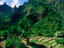 Image_13914-5