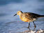 Image_13942-24