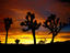 Image_13980-4