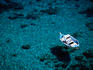 A fishing boat moored off the south coast of Crete.