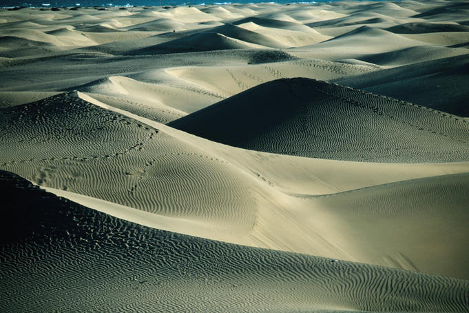 Sand dunes of Playa de Maspolomas.