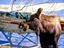 Image_14039-6