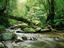 Image_1404-5
