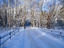 Wonderful winterscape, New England