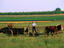 Rural Intercourse, Pennsylvania