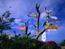 The world signpost tree near Laem Promthep.