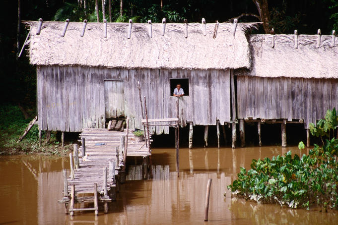 Riverside caboclos dwelling, Rio Negro