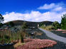 Devestation Trail in Volcano National Park.
