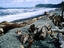 Olympic Peninsula, Peninsula National Park