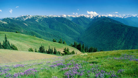 Olympic Peninsula, Olympic National Park