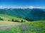 Olympic Peninsula, Olympic National Park