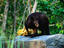 National Park, Kakadu & Arnhem Land