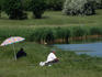 Fishermen relaxing on the banks of Inner Lake in Tihany.