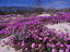 Image_14259-7
